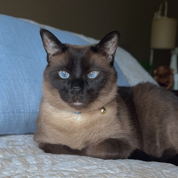 Meet your Posher, Leanne - Picture 4 of 4